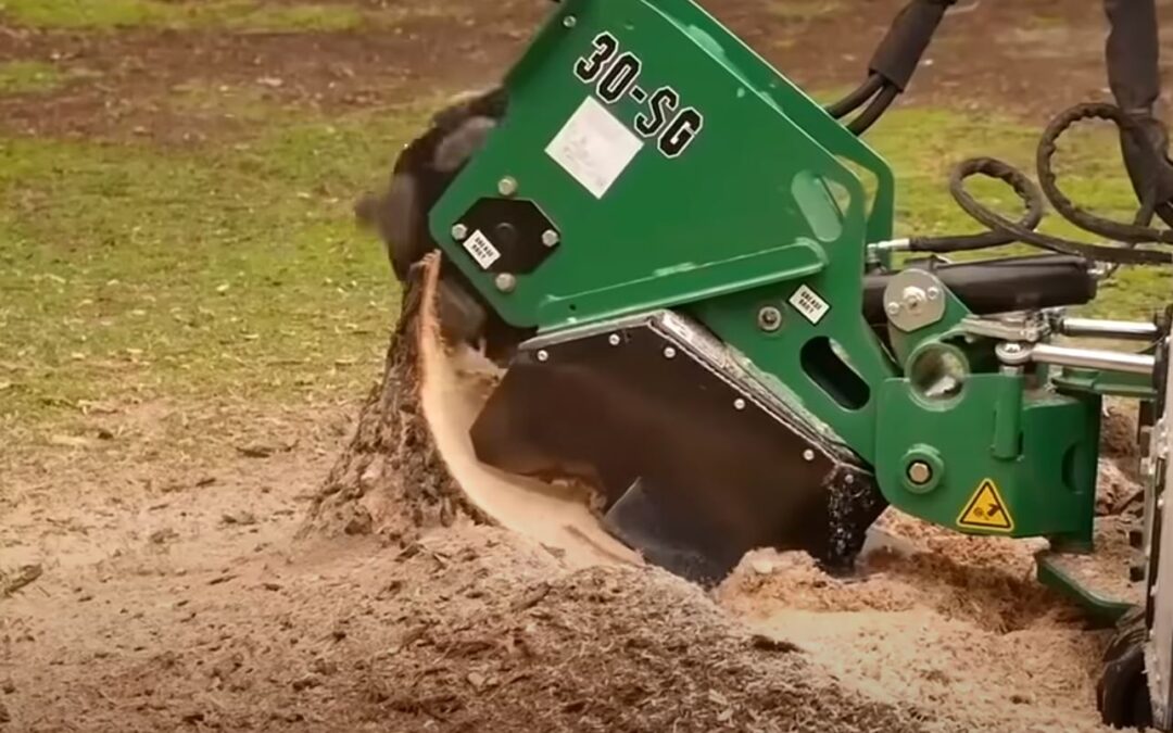 Can Roots Grow Back After Stump Grinding?